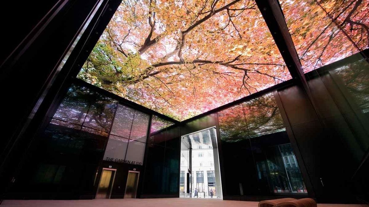 trees on ceiling part of LED art installation at London's Fen Court