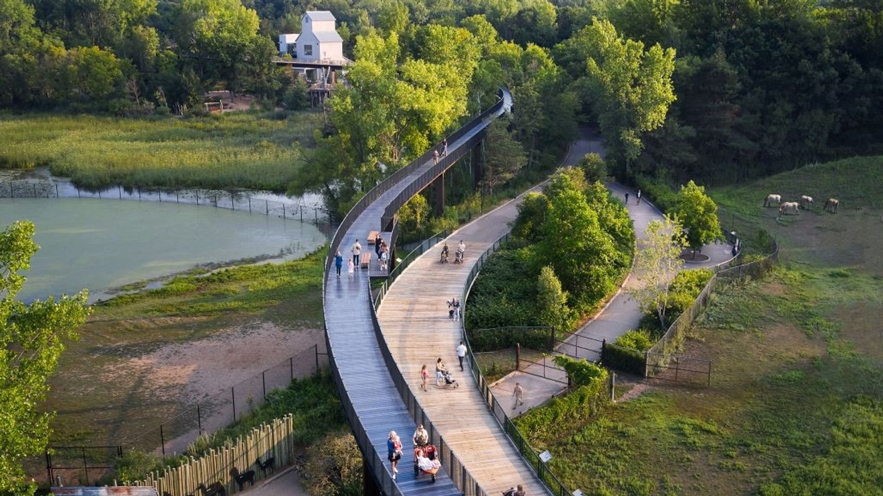 Treetop Trail - aerial view