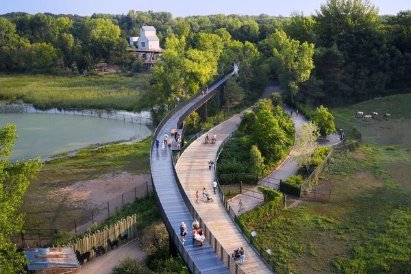Treetop Trail - aerial view