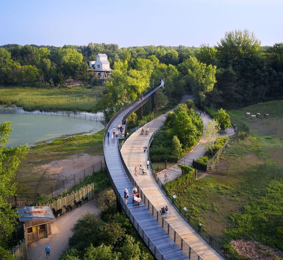 Treetop Trail - aerial view
