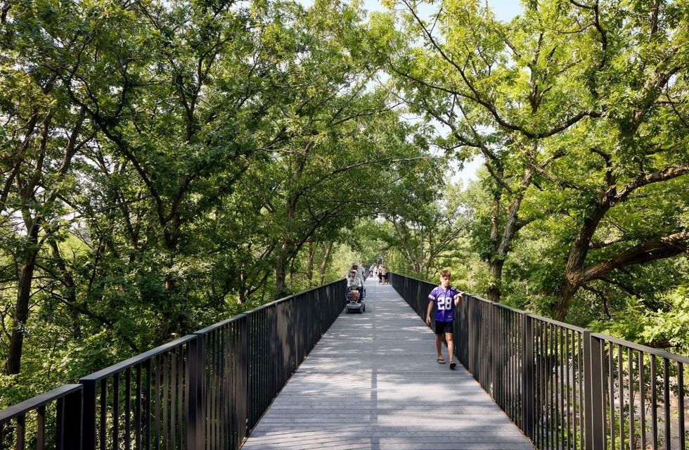 Treetop-Trail-track-2023