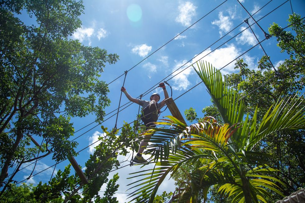 treetop trekking miami