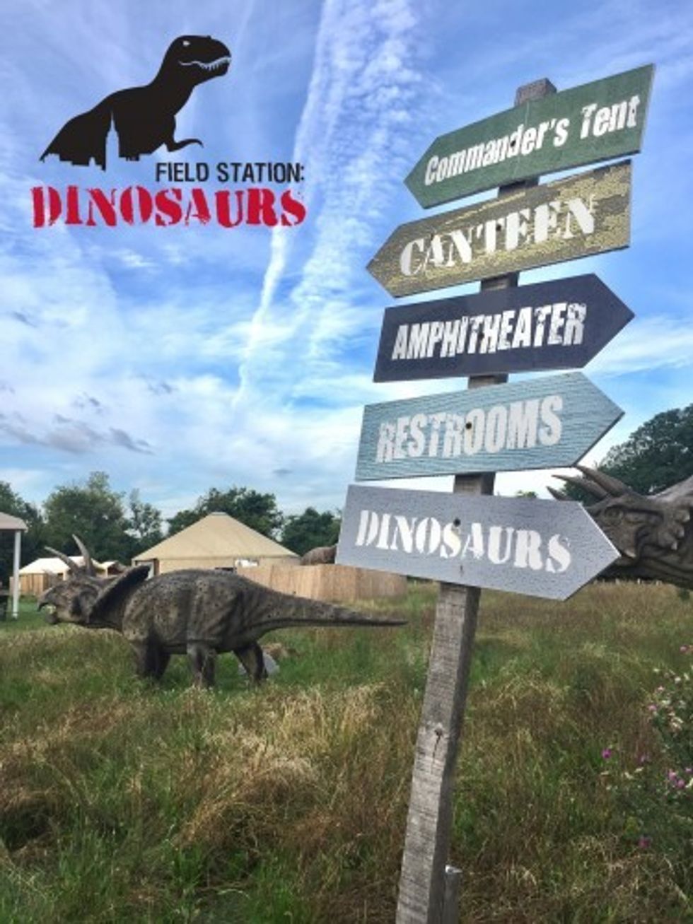 Triceratops at Field Station Dinosaurs.