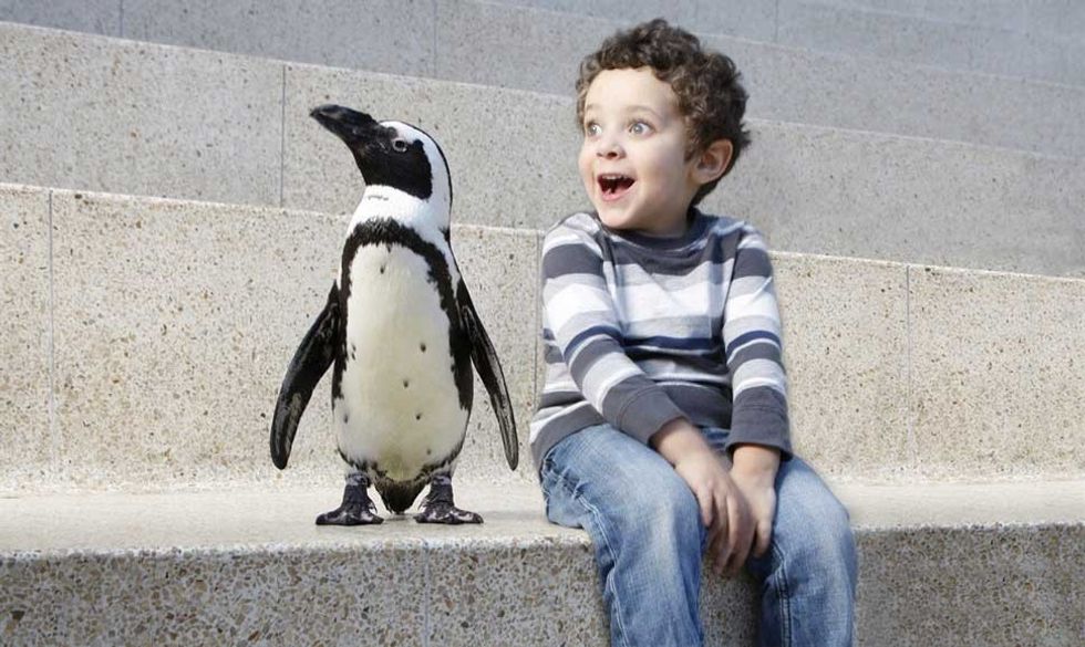 Triple Five West Edmonton Mall