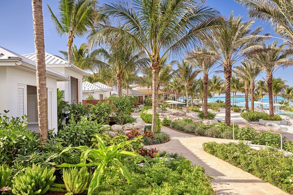 Tropical resort garden with palm trees and ocean view.