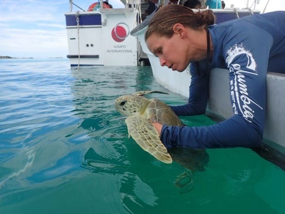 Turtle conservation