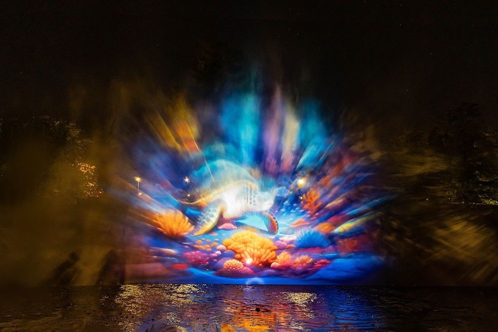 Turtle Projection