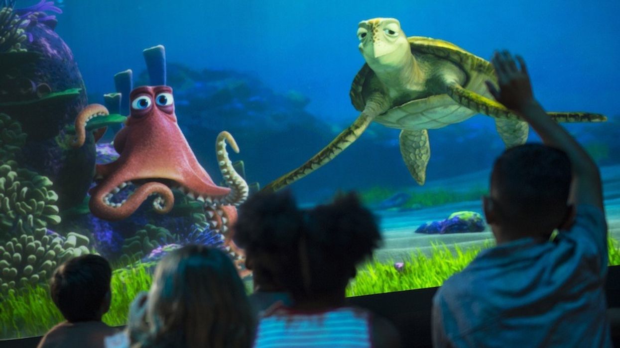 Turtle Talk With Crush at Epcot