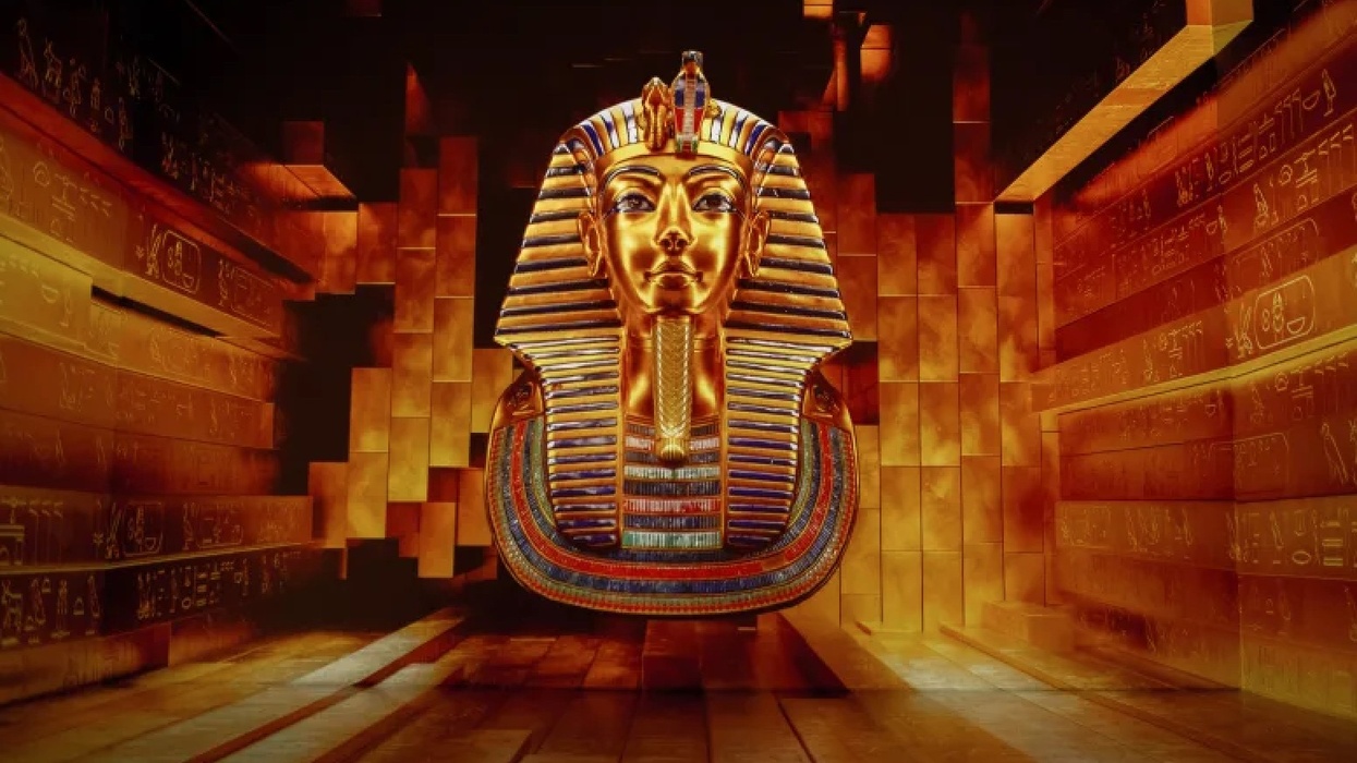 tutankhamun immersive exhibition
