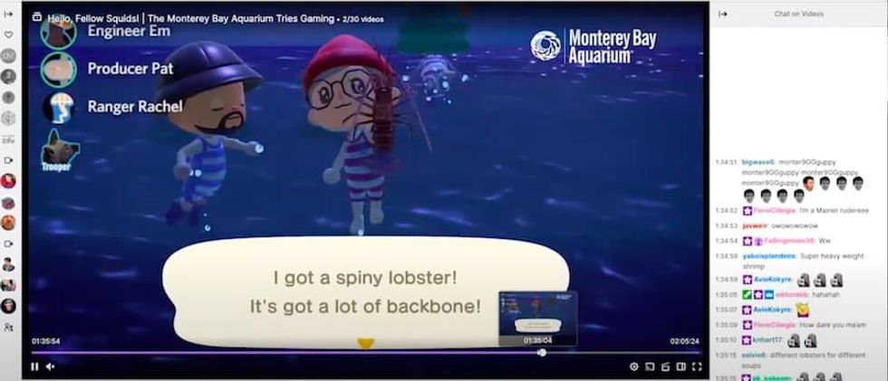 Twitch stream animal crossing