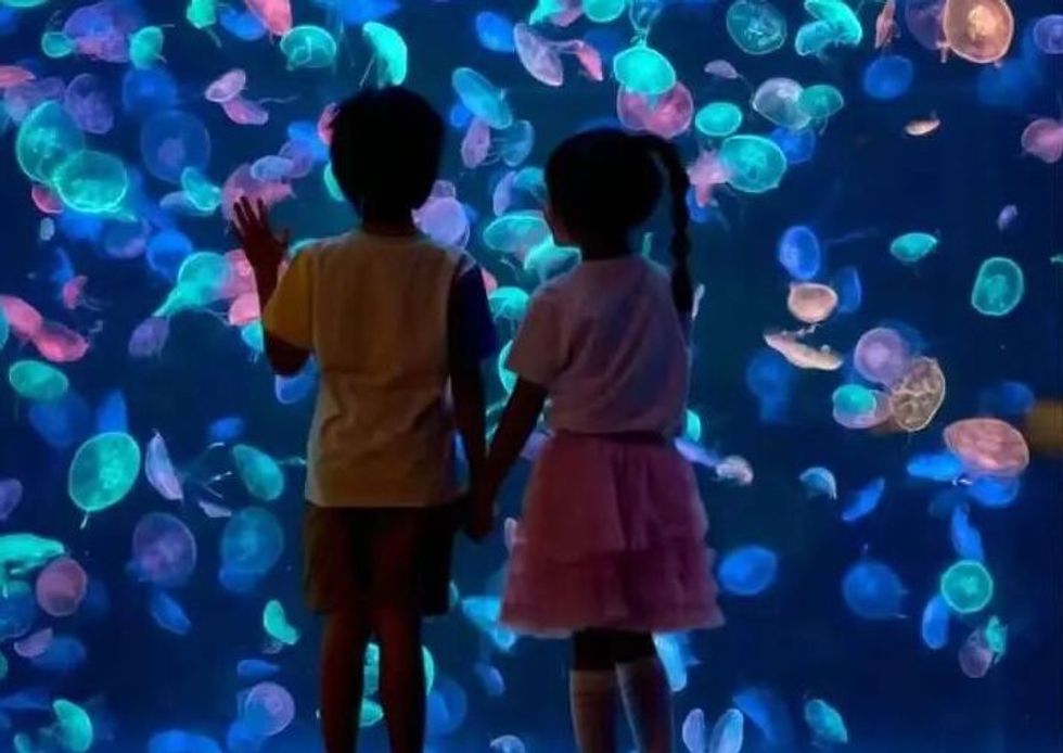 Two children watch colorful jellyfish glowing in a dark aquarium.
