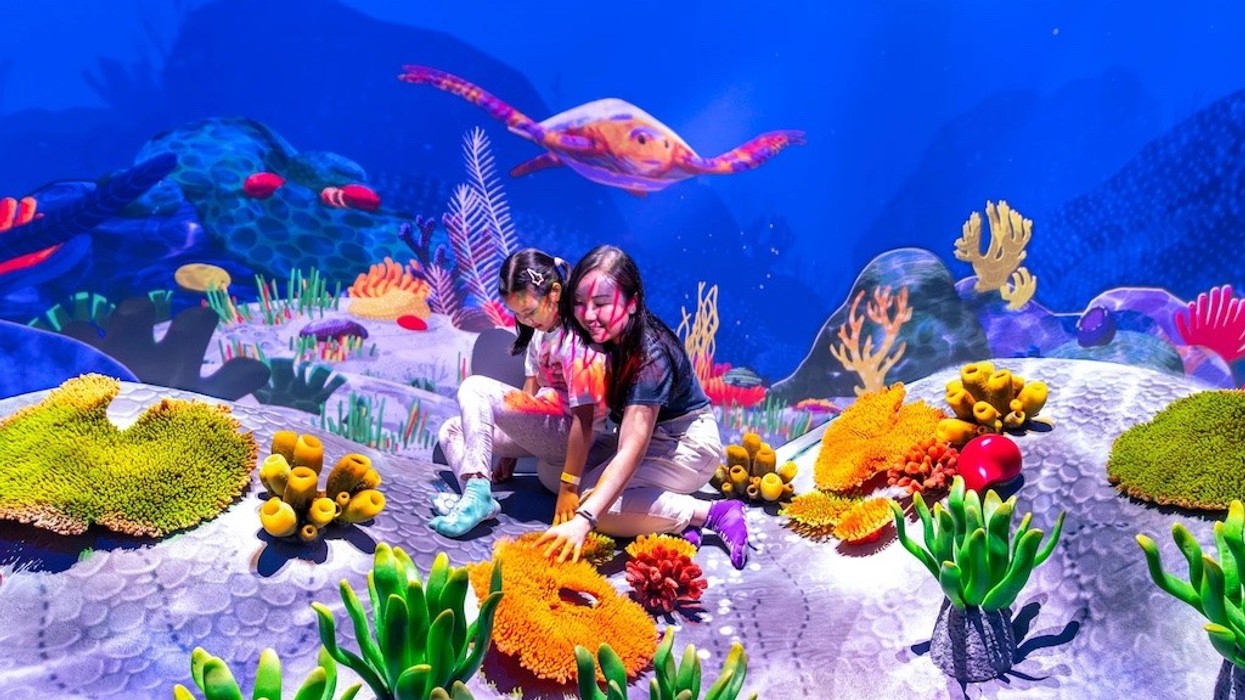 Two kids playing in a colorful, interactive underwater exhibit with corals and marine life.