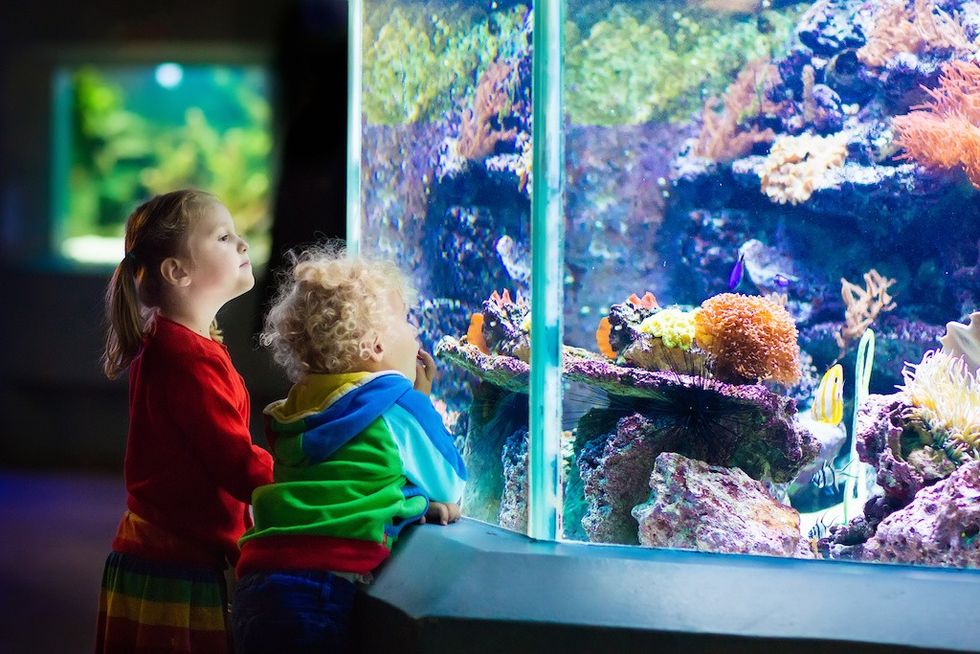 Two kids watching colorful fish in a large aquarium tank.