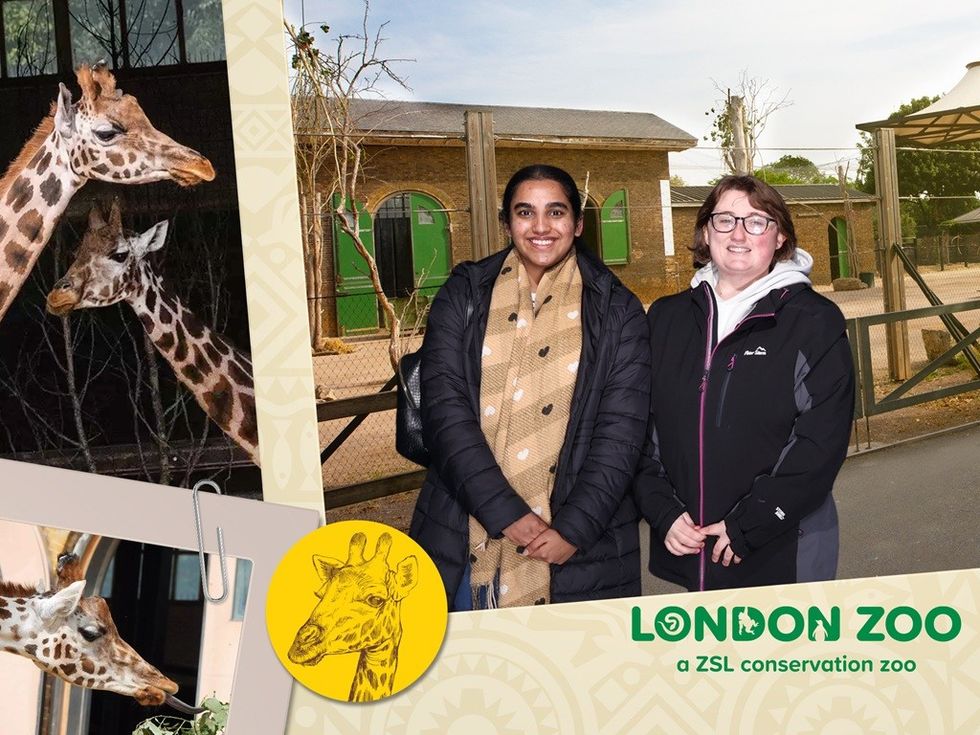 Two people at London Zoo, with giraffe photos and logo in the background.