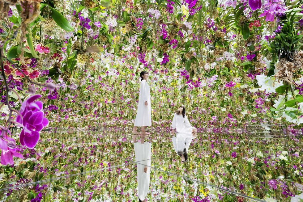 Two people in a mirrored room with vibrant, hanging flowers at teamLab