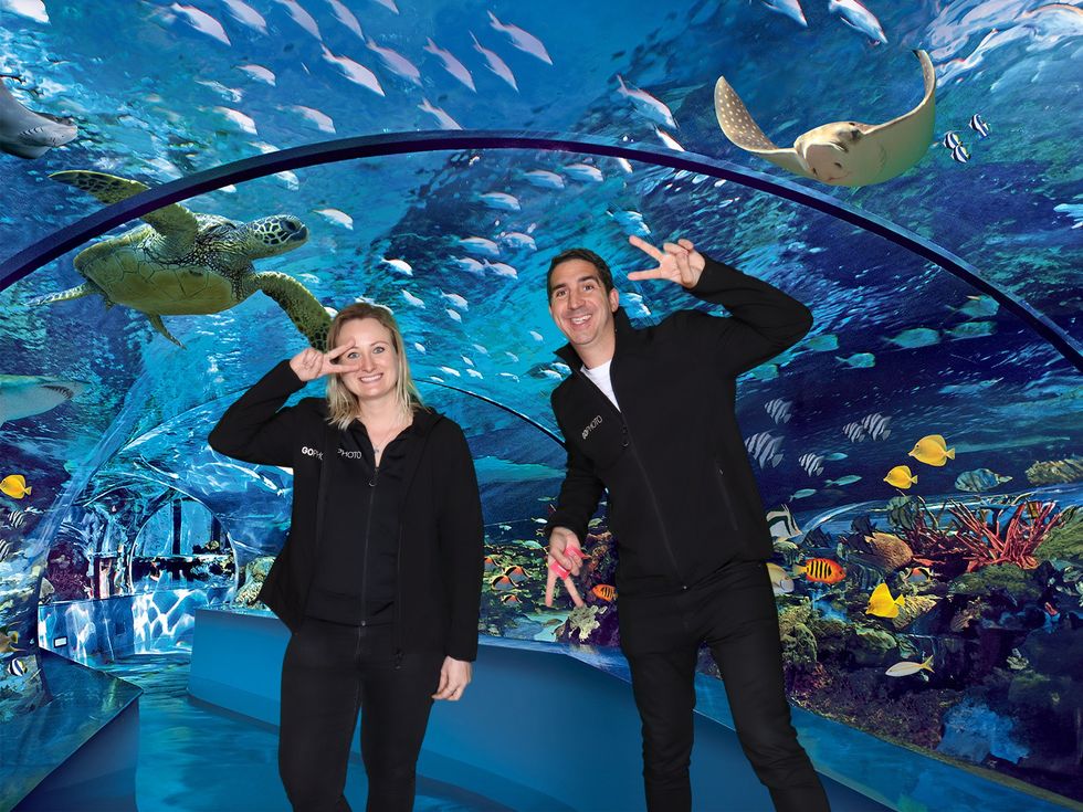 Two people pose in an underwater tunnel with fish, a turtle, and a ray above.