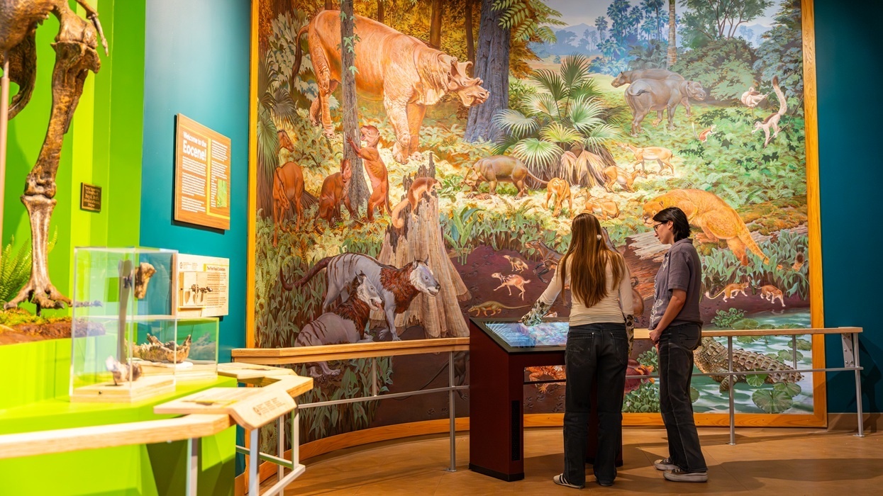 Two people view a large prehistoric wildlife mural at a museum.
