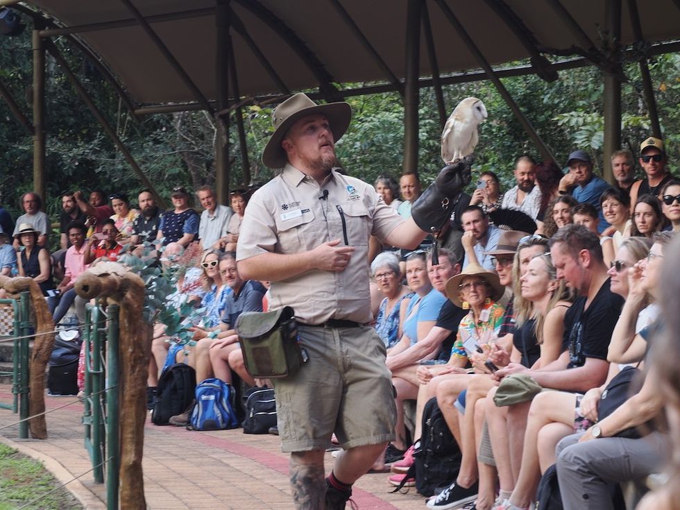 TWP bird show