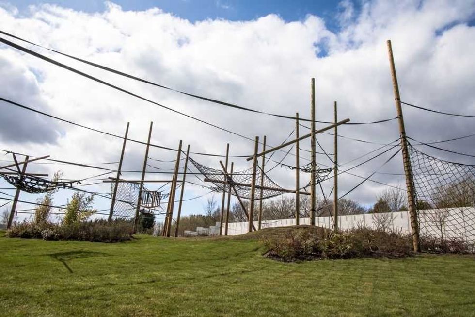 Twycross Zoo Chimpanzee Eden outdoor area