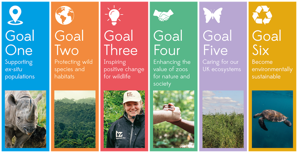 twycross zoo conservation strategy