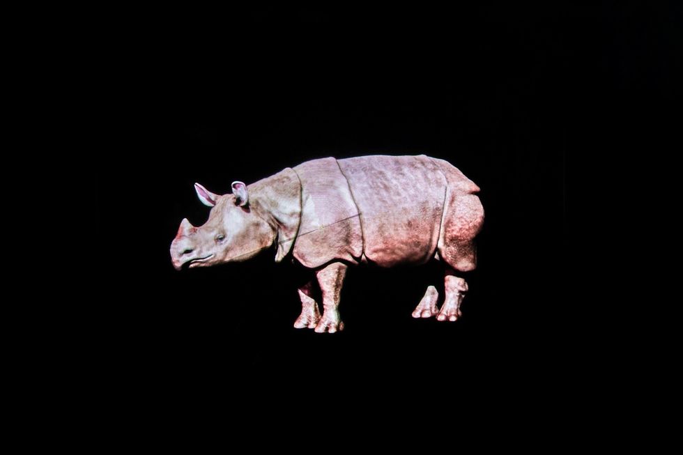 twycross zoo hologram technology trends