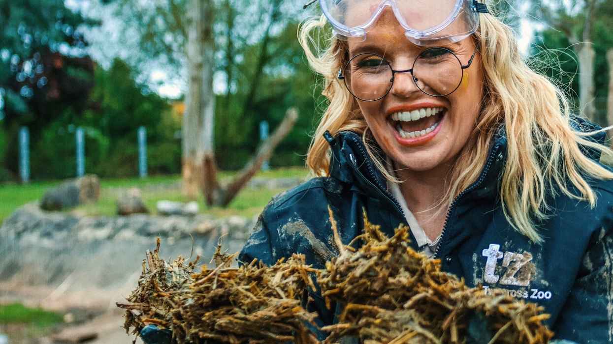 twycross zoo poo keeper