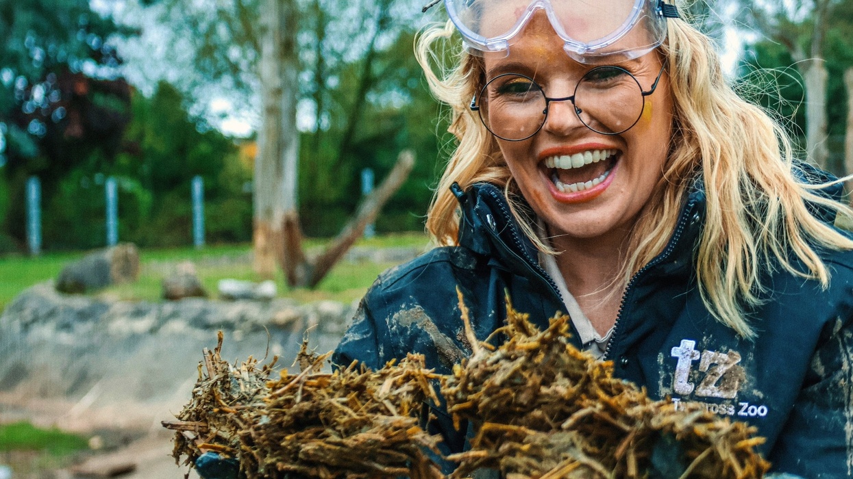 twycross zoo poo keeper