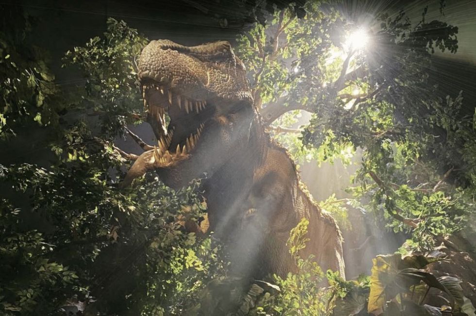 Tyrannosaurus rex roaring amid dense, sunlit foliage, Evolution travelling exhibition