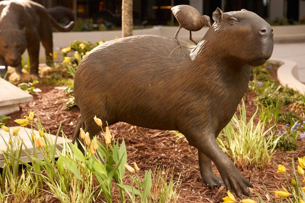 \u200bA bronze sculpture of a capybara standing at attention, while a wattled jacana searches for insects on its back. In the background, a bronze sculpture of a jaguar watches hungrily.
