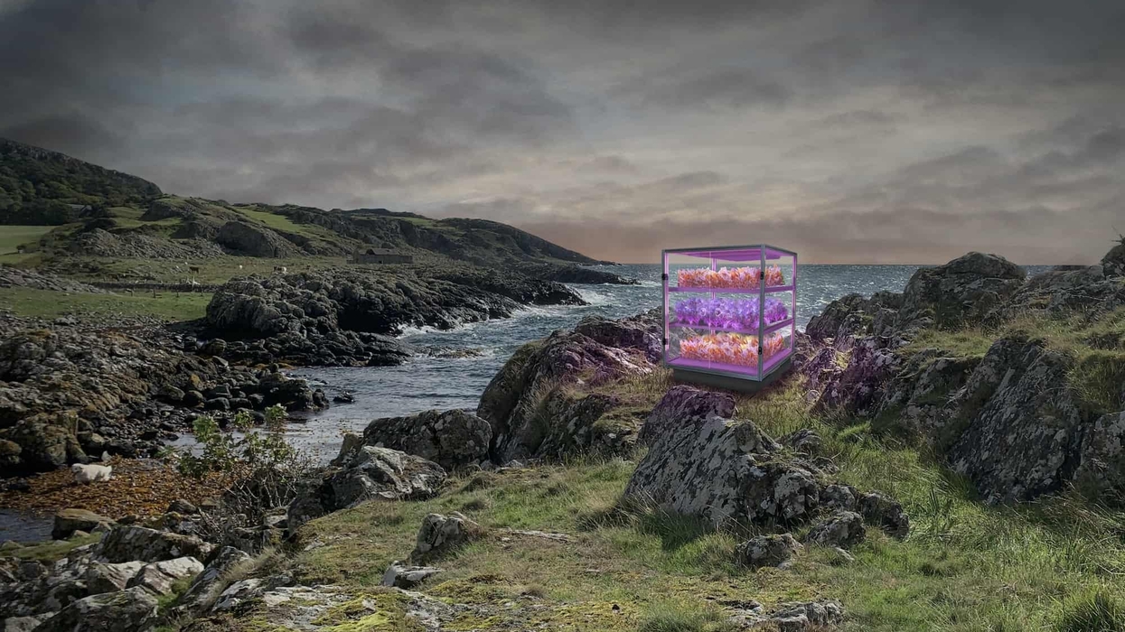 unboxed creativity in the uk