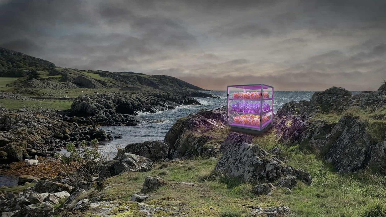 unboxed creativity in the uk