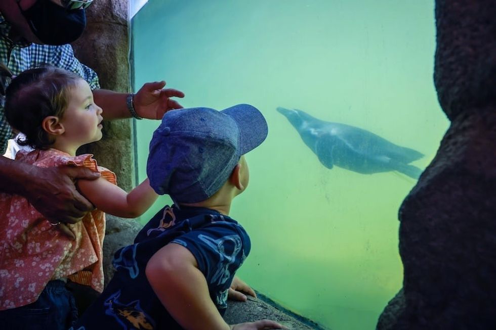 underwater habitat marwell zoo