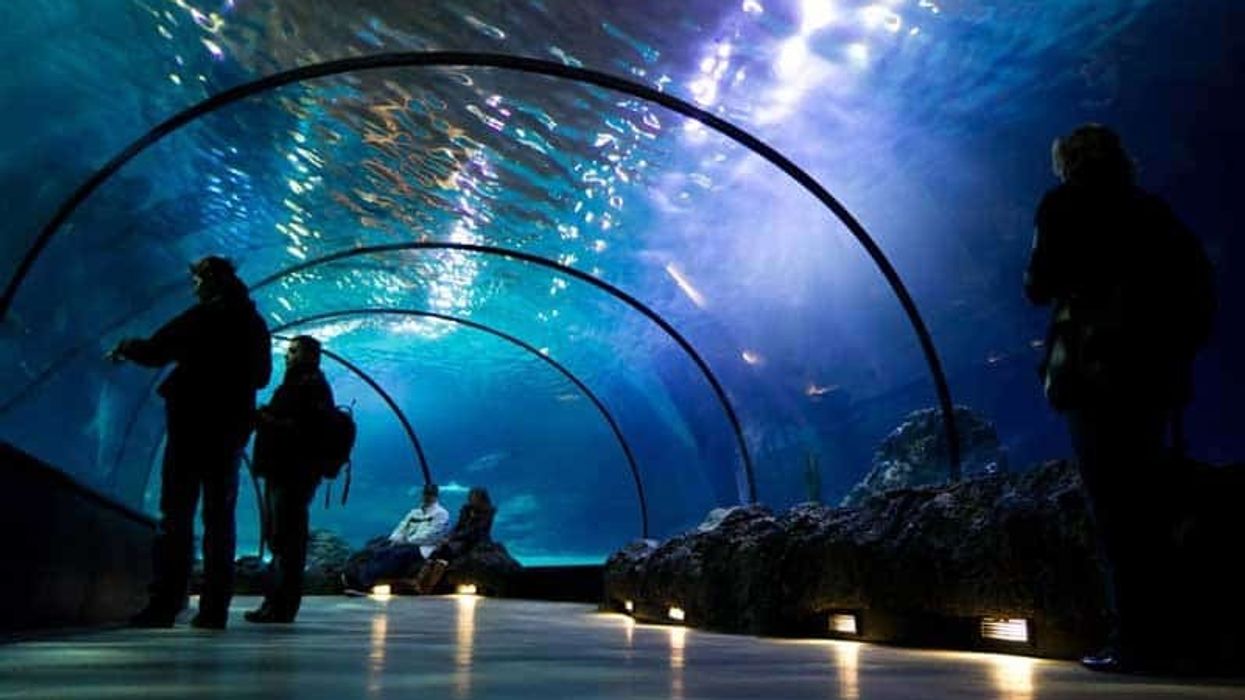 underwater tunnel