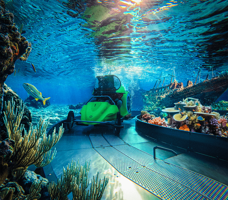 Sub Sea Systems, Inc. | blooloop