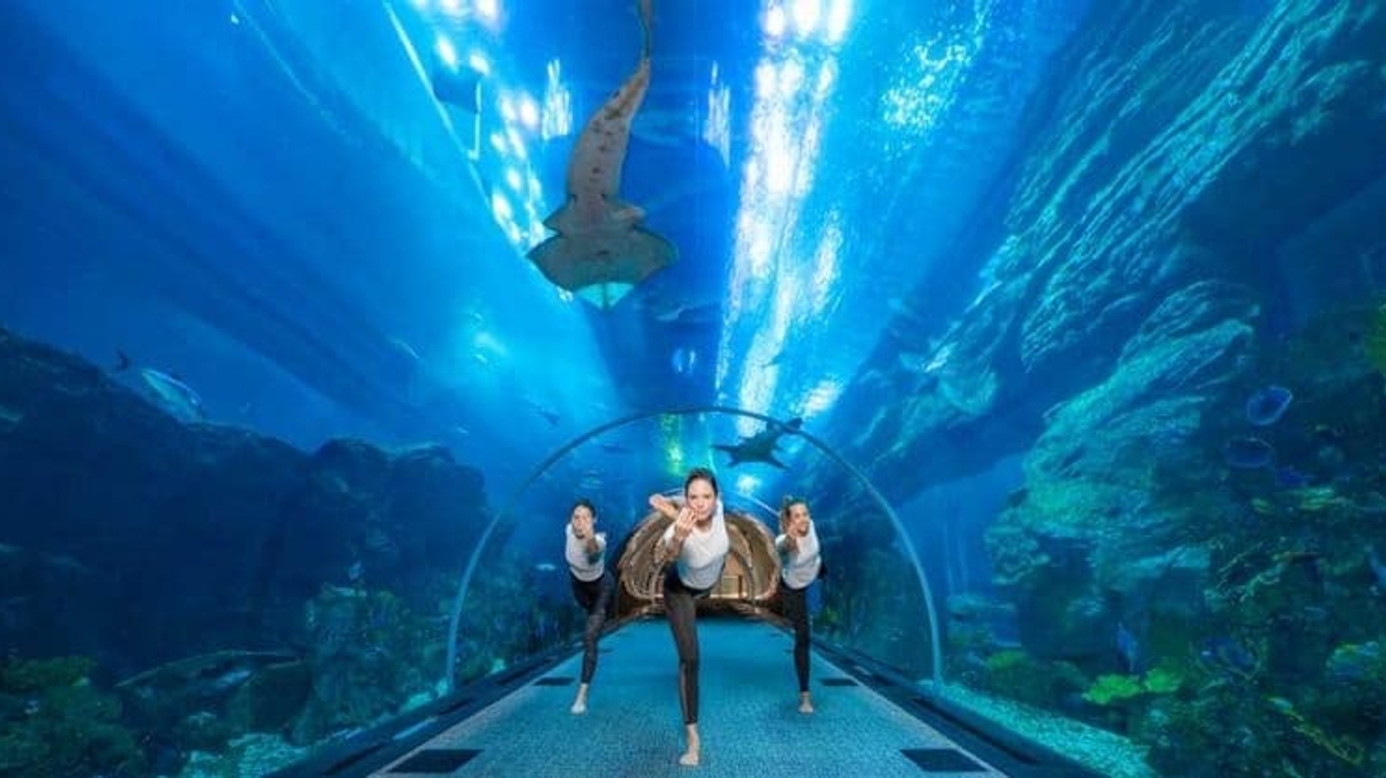 underwater yoga at Dubai Aquarium