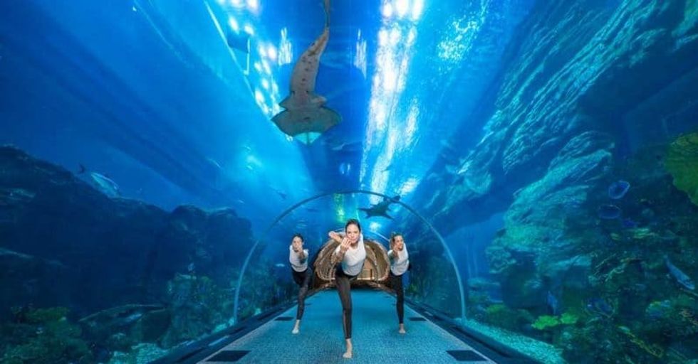 underwater yoga at Dubai Aquarium