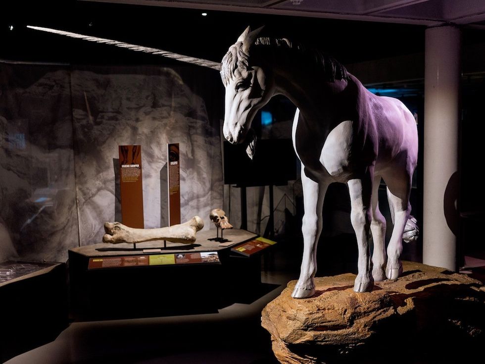 Unicorn Holstebro Museum Mythic Creatures