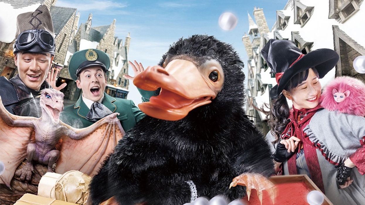universal studios japan harry potter magical creatures experience
