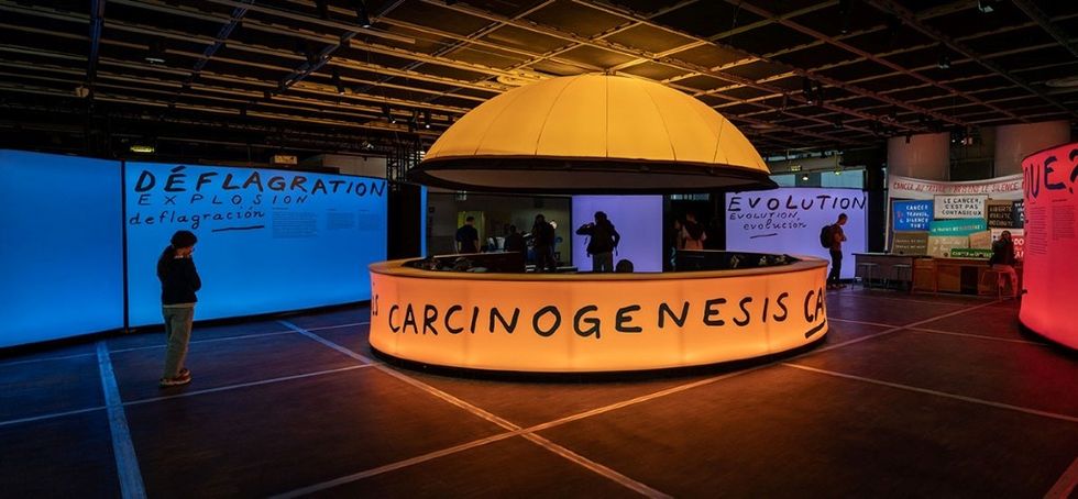 Universcience Cancer Exhibition zones