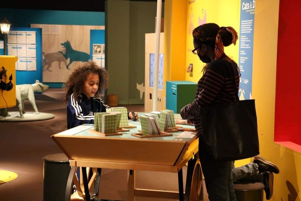 Universcience Cats and Dogs Cards