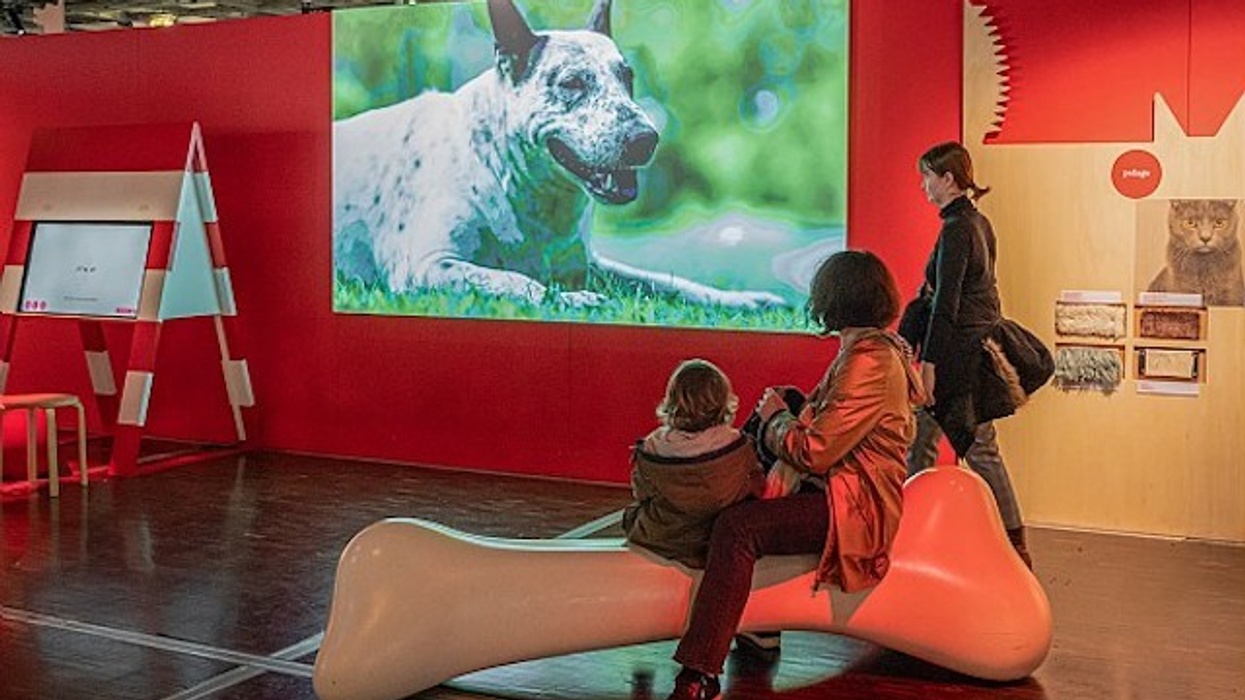 Universcience Dogs and Cats