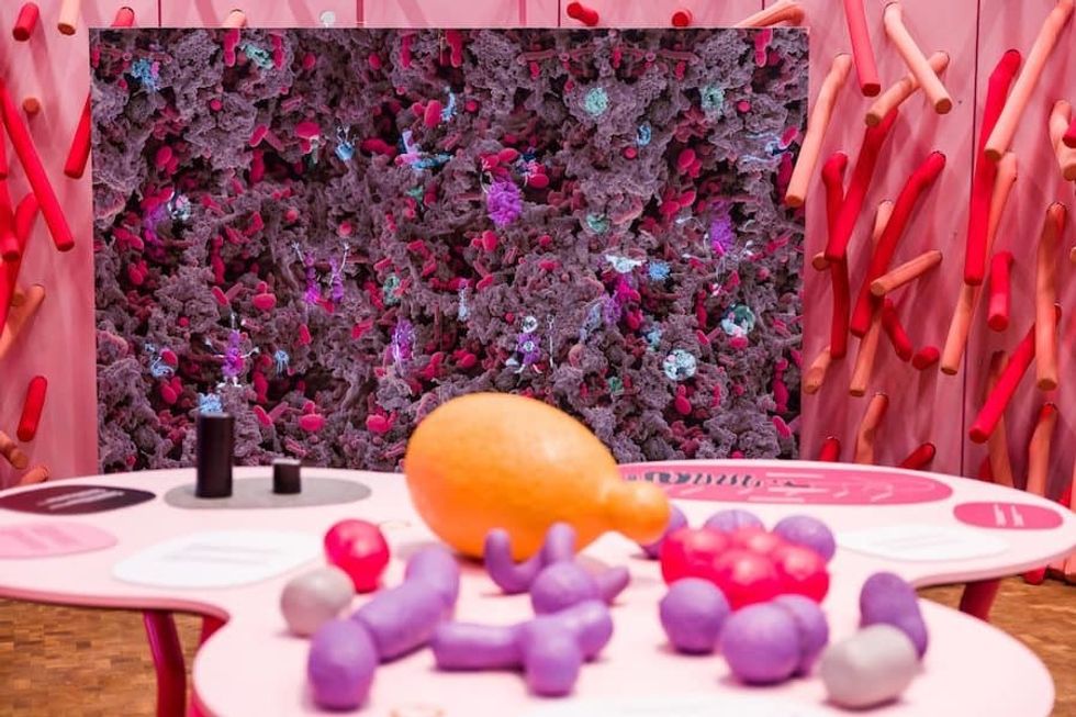 universcience-experimenta-darm-mit-charme