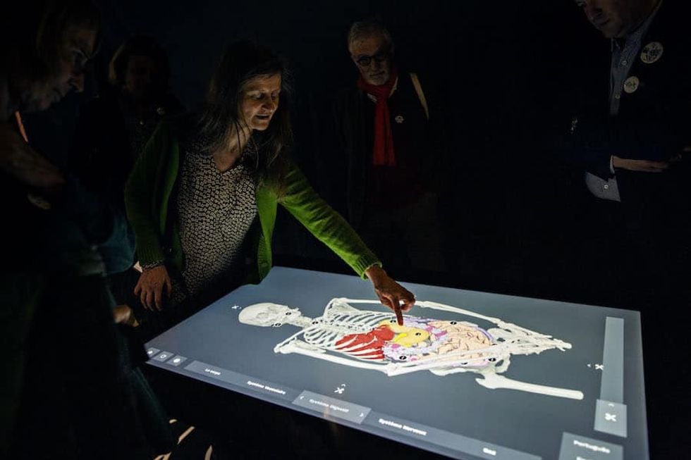 Universcience Secret of the Gut