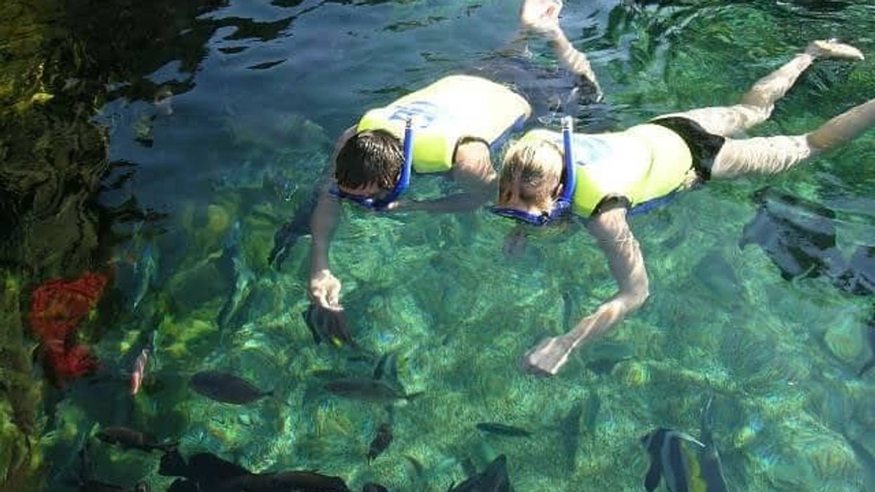 uShaka Sea World Snorkel