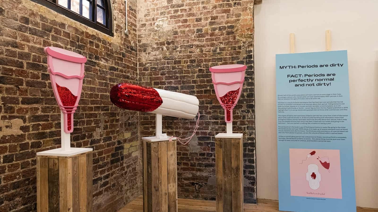 Vagina Museum