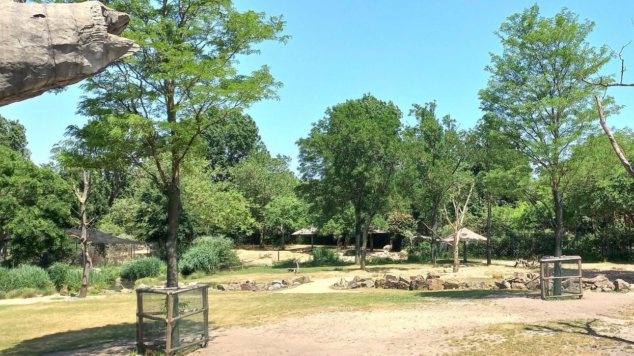 van den berk rotterdam zoo
