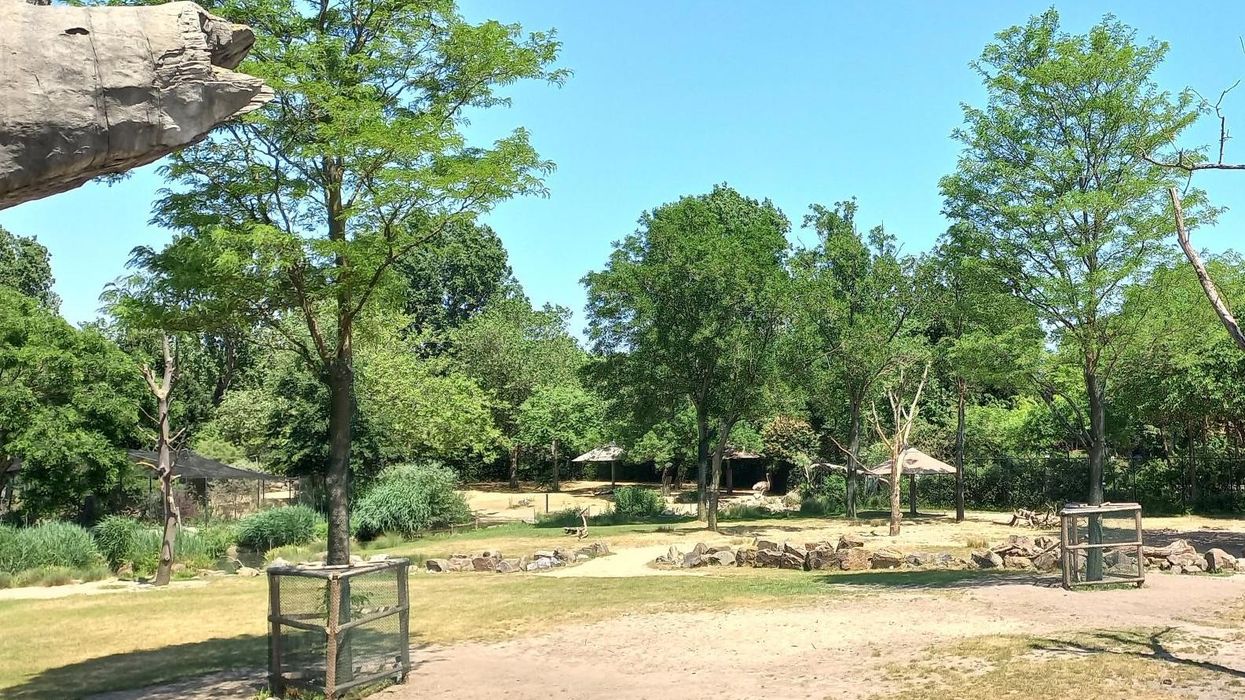 van den berk rotterdam zoo