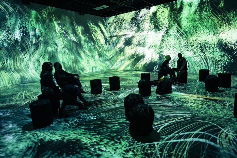 Van Gogh at OASIS immersion