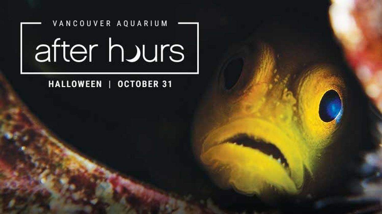 Vancouver Aquarium Halloween evening for adults