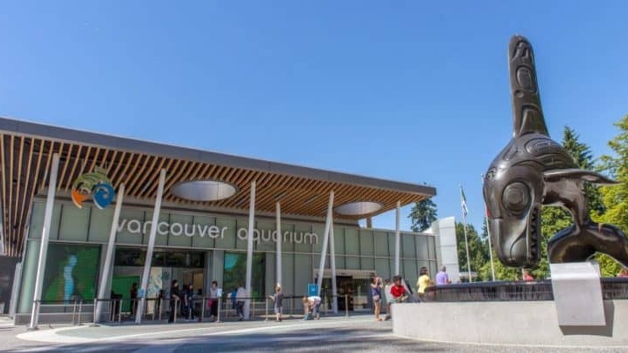 vancouver aquarium